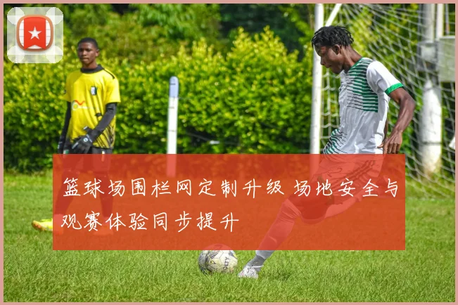 篮球场围栏网定制升级 场地安全与观赛体验同步提升