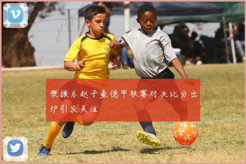 樊振东赵子豪德甲联赛对决比分出炉引发关注